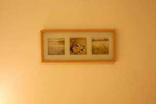 Проживание в семье Dandelion B&B Варшава Двухместный номер с 2 отдельными кроватями и общей ванной комнатой-5